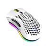 2.4G Wireless Gaming Mouse Rechargeable Mouse with RGB Light Effect 3 Adjustable DPI Hollowed-out