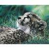 5D Diy Diamond Painting Leopard Diamond Embroidery Cross Stitch Home Decor Handmade Gifts