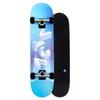Skateboard - ACTA - Complete Wordart - 7.5 Pouces - Érable 7 Plis - Bleu