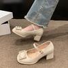 Fashion French Thick Heel Square Head Waterproof High Heel Single Shoes Women 2025 New Line Button Fairy with Skirt Shoes