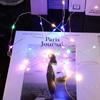 Party Wedding New Year LED  Wire Lights String Lights Fairy Garland Lamp