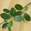 Lifelike Artificial Plant Branch Leaf Flower Arrangement for Garden DIY Party