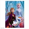 300 Piece Jigsaw Puzzle Frozen 2 Hidden Secret (30.5x43cm)