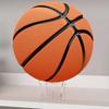 Stand High Stability Strong Load-bearing Transparent Football Basketball Ball Display Holder Storage