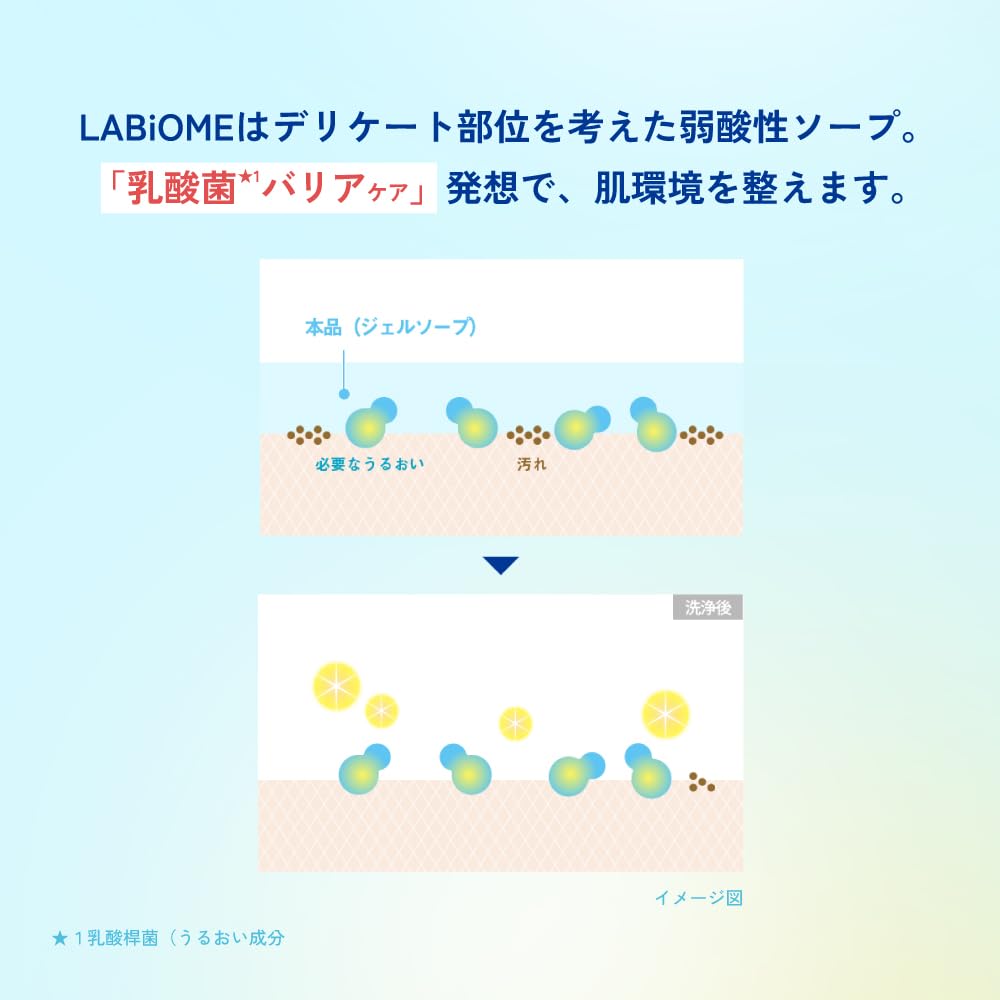 Raviome Barrier Biosoap Pump Body 180 мл Цветочный ароматизатор Гелевое мыло для деликатных зон Кислотный слабоконсервирующий пластырь для чувствительной кожи Онлайн [Rohto