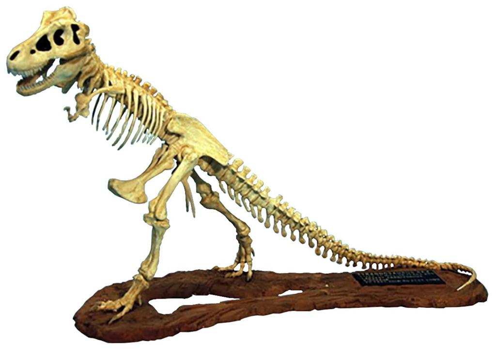 GLEMCOE MODELS Tyrannosaurus Skeleton Model Plastic Model GM07906 Molding Color 1/24