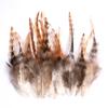 80 Natural Pheasant Feather Decorative Diy Jewelry Hair Accessories Material Cat Stick Toy Accessories