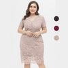 Women's Plus Size Relax Fit Shift Dress Floral Lace Scalloped V Neck Short Sleeve Midi Cocktail Party Wear Daily Work Office Occasion Outfits XL-4XL