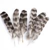 80 Natural Pheasant Feather Decorative Diy Jewelry Hair Accessories Material Cat Stick Toy Accessories