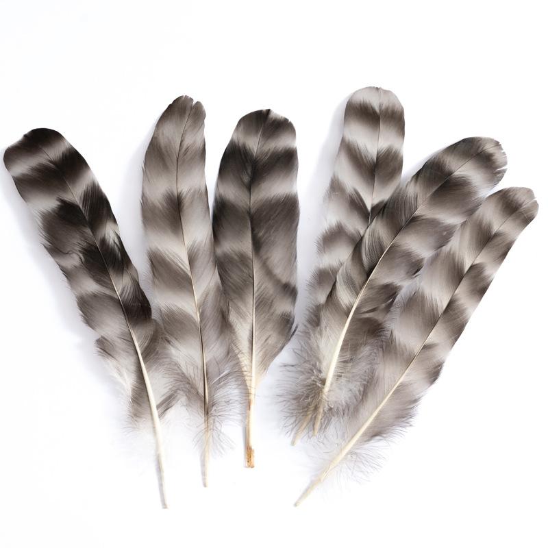 80 Natural Pheasant Feather Decorative Diy Jewelry Hair Accessories Material Cat Stick Toy Accessories