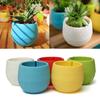Colourful Mini Round Plastic Plant Flower Pot Garden Home Office Decor Planter