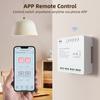 Tuya WiFi Intelligent Switch Module Compact Home Timing Control Voice Control Wireless APP Remote
