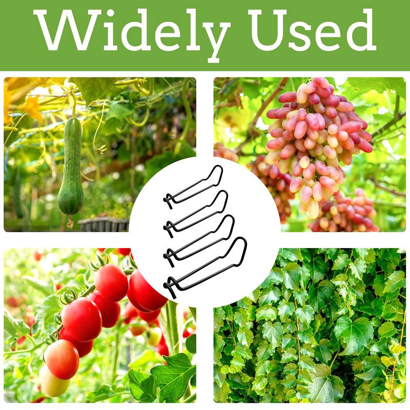 20Pcs Garden Trellis Clips Metal Plant Vine Stakes Connectors Climbing Frame Buckles For Tomato Cucumber Vegetable Support