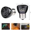 Practical Basking Sun 20-100W Brooder Light AC110V 220V Heating Lamp Reptile Bulb