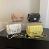 French Niche Fashion Casual Embroidery Chain Single Shoulder Crossbody Bag Popular Spring New Underarm Bag
