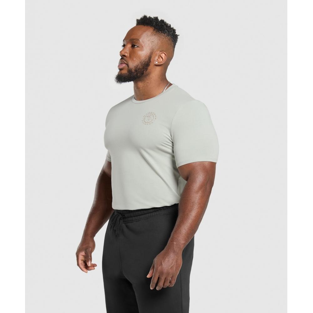 Gymshark Футболка Legacy Stone Grey A5a3b Gb7s