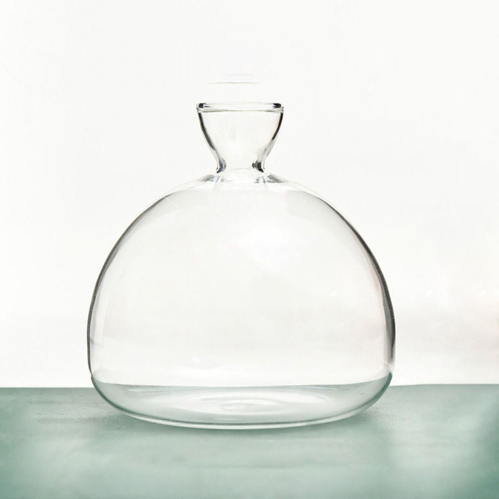 High-grade Japanese Hydroponic Vase Heat Resistant Special Vase Pot  Holidays Gift