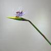 Artificial Flower Lifelike Bird of Paradise Realistic Non-fading And Low Maintenance Home Decoration