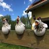 Cross-Border Decorative Chicken Resin Garden Ornaments
