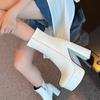 Women Shoes Ankle Boots High Heels Platform Riding Boots Sexy Round Toe Shoes Plus Size