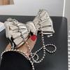 Metal Mini Bag Chain Crossbody Shoulder Bag Versatile Decorative Clothing Headphone Bag Shoulder Bag For Women
