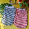 Dog Striped Vest Pets Casual Sleeveless Pullover Round Neck Vest Puppy Apparel for Girls Boys Daily Wear Travel Street Wear