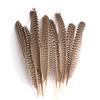 80 Natural Pheasant Feather Decorative Diy Jewelry Hair Accessories Material Cat Stick Toy Accessories