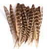 80 Natural Pheasant Feather Decorative Diy Jewelry Hair Accessories Material Cat Stick Toy Accessories