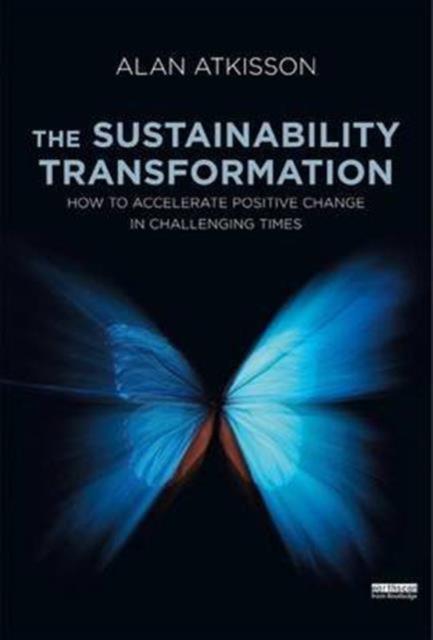 The The Sustainability Transformation : How To Accelerate Positive Change In Challenging Times Book