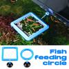 Aquarium Feeding Ring Fish Tank Station Floating Food Plate Supplies Square Round Accessories Fish Food Feeder Suction Cup