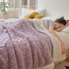 Winter Taf Velvet Double-Layer Coral Fleece Blanket - Lambswool Sofa Throw, Autumn/Winter Quilt