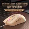 RGB Lighting Wired Gaming Mouse with Macro Programming for Desktop and Laptop