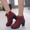 Plus Size 35-43 Winter Casual Women Pumps Warm Ankle Boots Waterproof High Heels Snow 2025 Shoes Botas Patent Botas Muje Jkm8