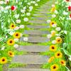 1Set Cloth Outdoor Landscape Garden Sign Lawn Decoration Sunflower Card Insertion Micro Landscape Daisy Card Insertion