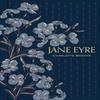 Jane Eyre Special Edition by Charlotte Bronte Hardback Book 9781454952916