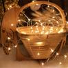 Holiday Decor Christmas New Year Garland Lamp LED Decorative Light Outdoor String Lights Fairy