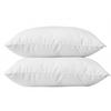 Set of 2 Pillows 60 X 60 Cm Blanrêve "Softness" Range Treated Anti-Dust Mite