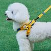 Comfort Set 2.0 (X-type Harness + Leash Set) Dog-only Pressure-free Chest Leash Leash