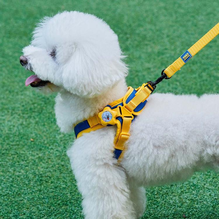 Comfort Set 2.0 (X-type Harness + Leash Set) Dog-only Pressure-free Chest Leash Leash