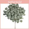 Leaf Eucalyptus Faux Flower With Multicolor Options For Home Indoor Photography