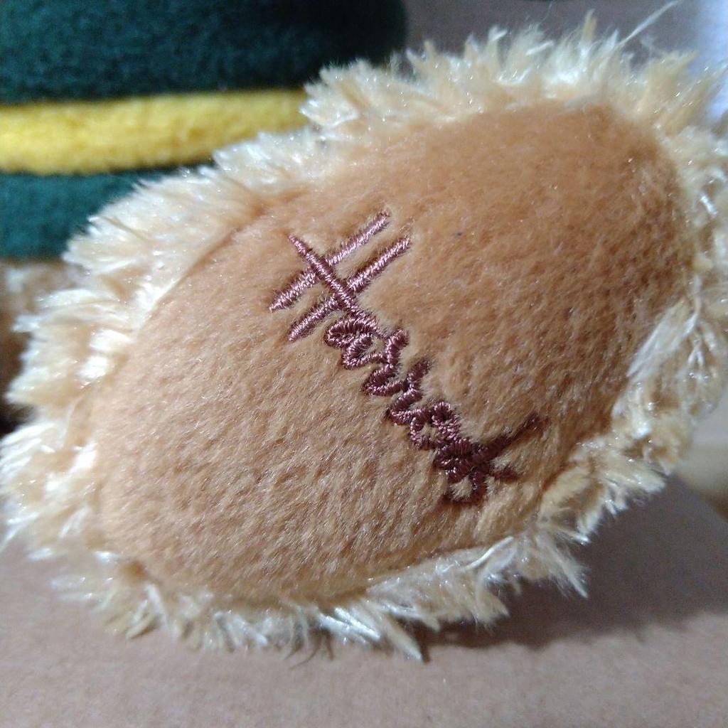 [USED] Harrods Teddy Bear Green Fleece