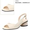 Fashion Plastic Sandals Luxury Women's Shoes Platform Dress Designer Woman Low Heel 2024 Elegant Heels Comfortable Coonfort Heeled