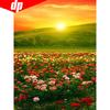 5D DIY Diamond Painting Full Display Sunrise Wildflower Full Round Diamond Embroidery Cross Stitch