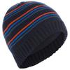 Mens Ray Beanie Hat