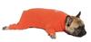 MANDARINE BROTHERS SKIN TIGHT SUIT Innerwear for Dogs (XXL, ORANGE)