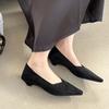 Fashion Bailamos 2024 Autumn Pointed Toe Women Sexy Shallow Slip On Pumps Shoes Fashion Thin High Heel Ladies Elegant Dress Boat Shoes