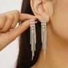 Exquisite Zircon Tassel Earrings: Luxurious, Unique Design for Women
