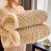Winter Warm Sleeping Blanket Soft Comfortable Blankets for Bed Cozy Fluffy Warmth Blanket