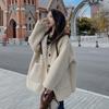 Fur Integrated Lamb Wool Coat for Women Autumn and Winter New Korean Design Hooded Thick Top