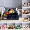 Guinea Pig Cute Animal Print Blanket Flannel Blankets Cartoon Print Sheet Sofa Throw Bedspread Kids Siesta Leisure Coverings